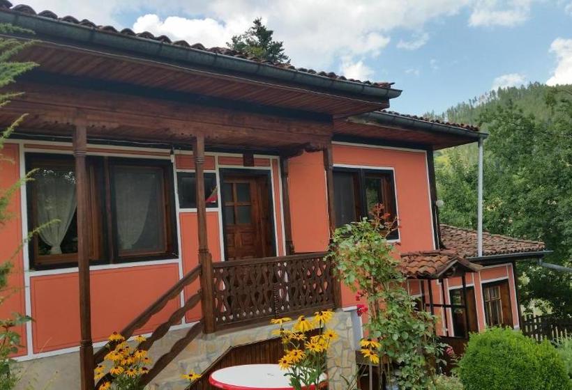 펜션 Mechta Guest House