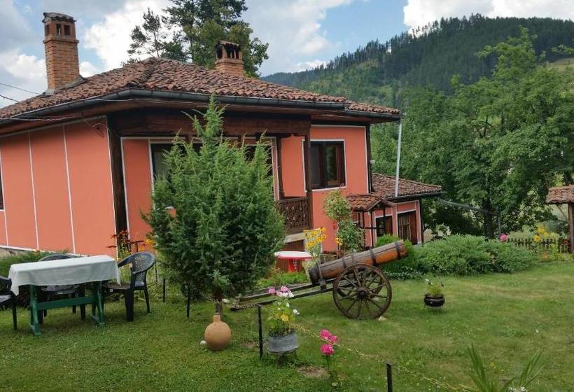 펜션 Mechta Guest House