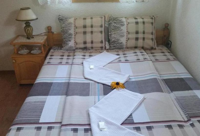 펜션 Mechta Guest House