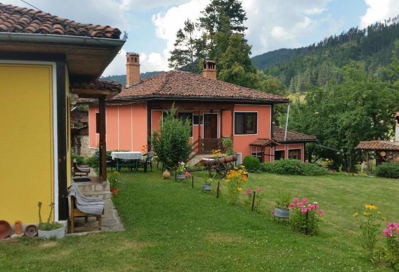 펜션 Mechta Guest House