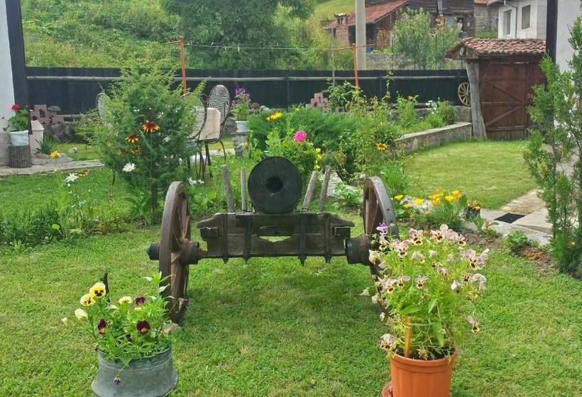 펜션 Mechta Guest House