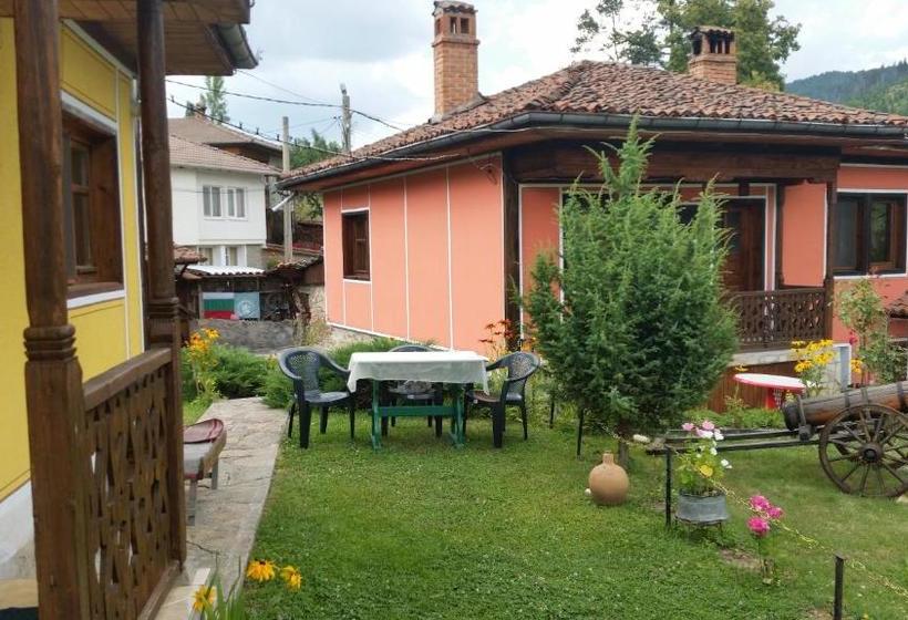 펜션 Mechta Guest House