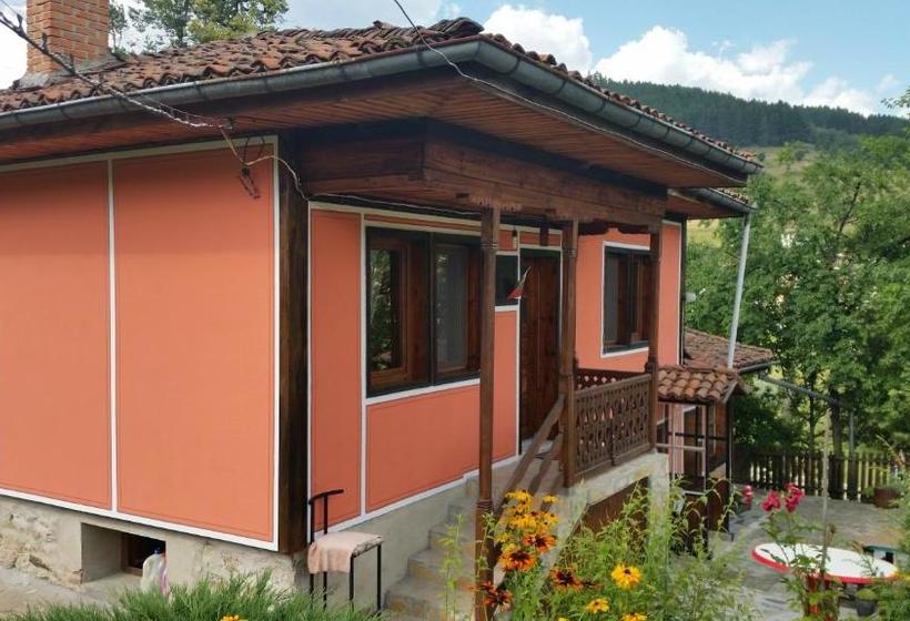 펜션 Mechta Guest House