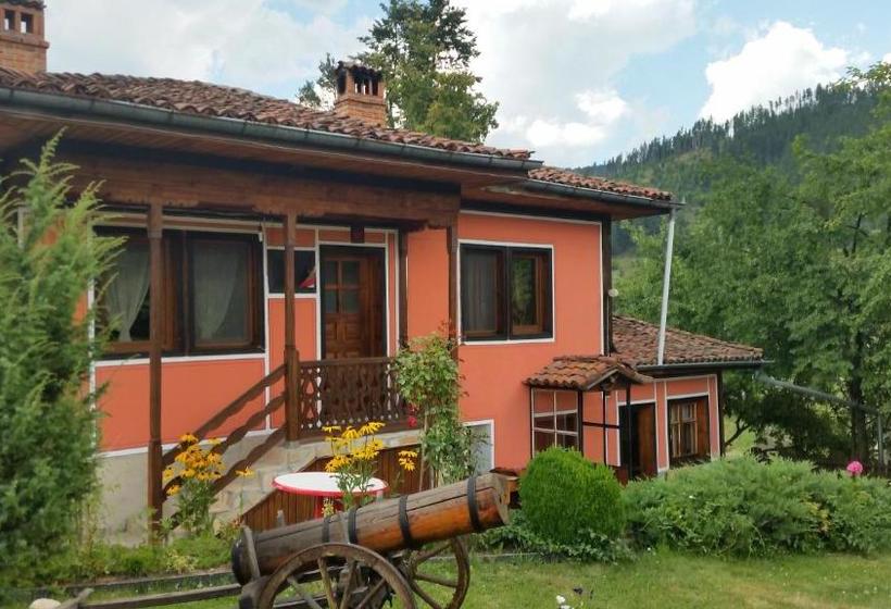 펜션 Mechta Guest House