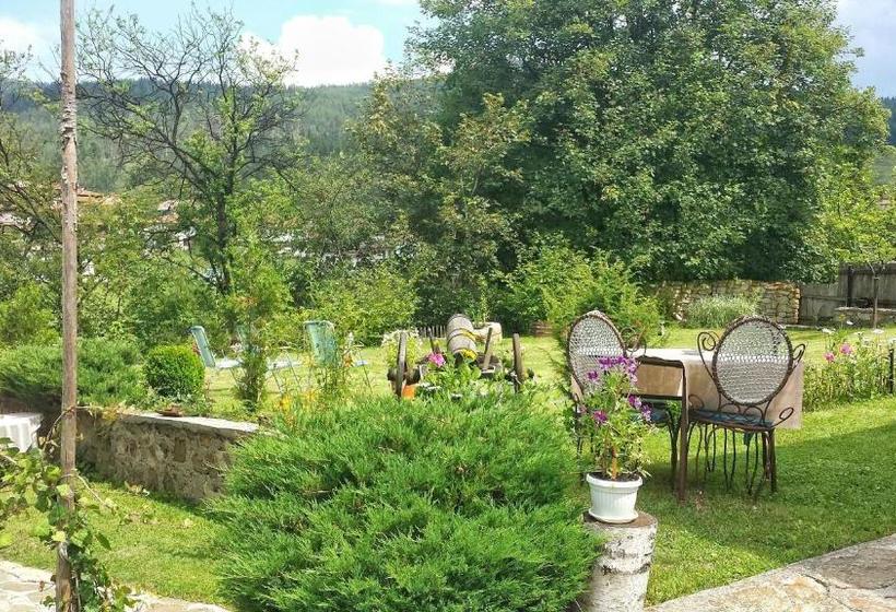 펜션 Mechta Guest House