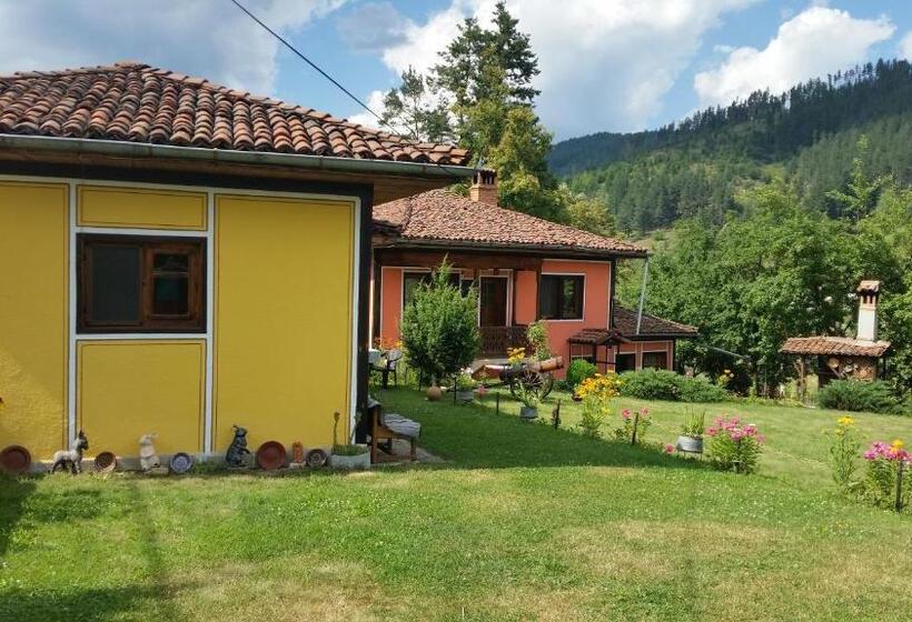 펜션 Mechta Guest House