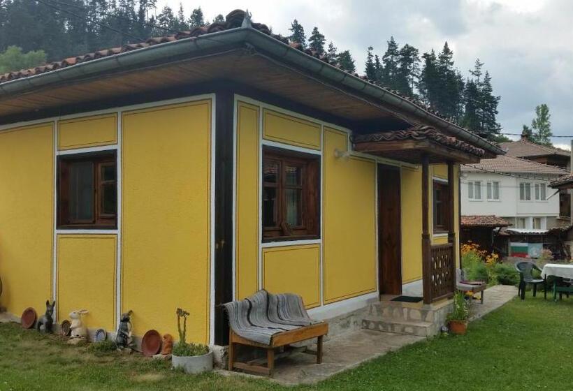 펜션 Mechta Guest House