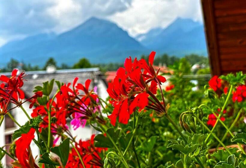 بنسيون Penzion Bado