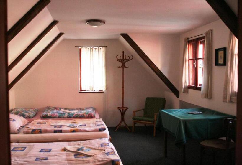 ペンション Penzion Novopacké Sklepy