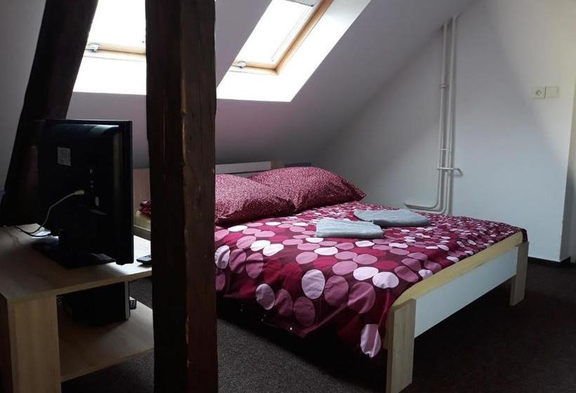 Pensjonat Penzion Vulture Havířov