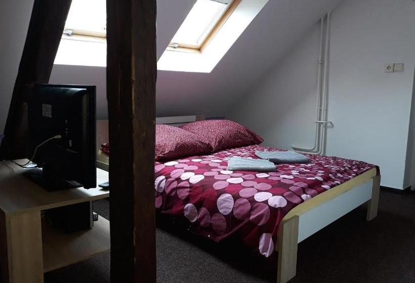 Pensjonat Penzion Vulture Havířov