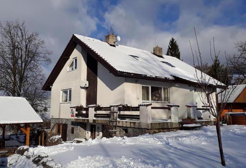 Пансион Penzion U Vichu