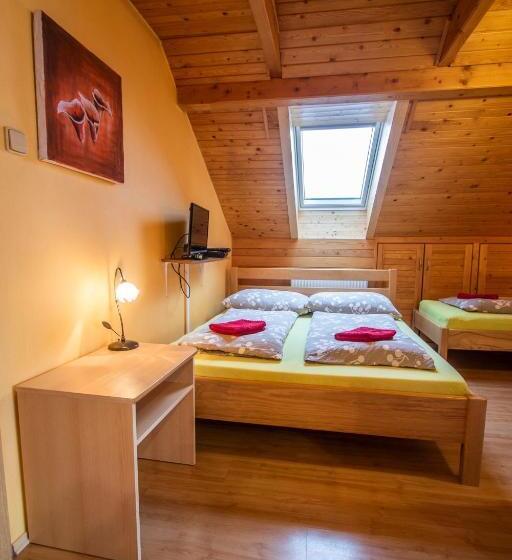 Пансион Penzion U Vichu