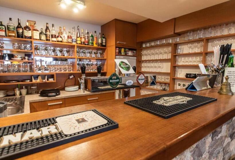 Пансион Penzion U Vichu