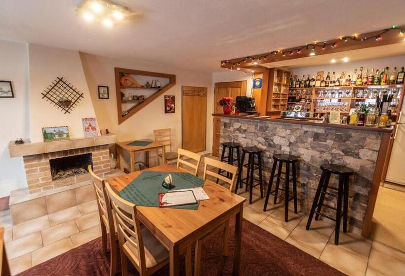 Пансион Penzion U Vichu