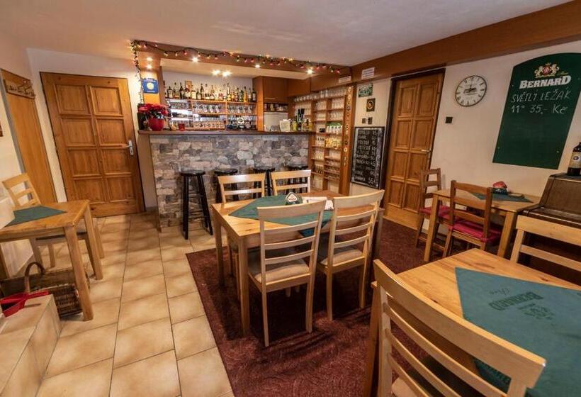 Пансион Penzion U Vichu