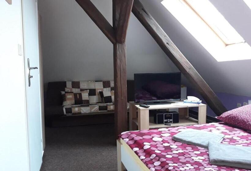 Pensjonat Penzion Vulture Havířov