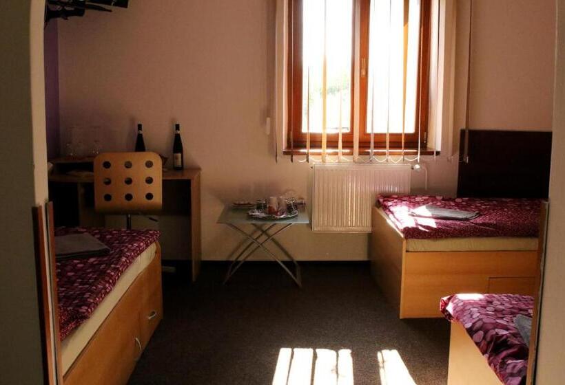 Pensjonat Penzion Vulture Havířov