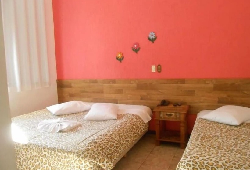 Пансион Pousada Aconchego De Minas