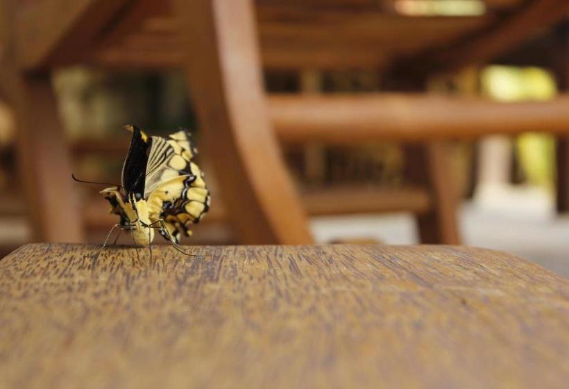 Пансион Pousada água De Fuego