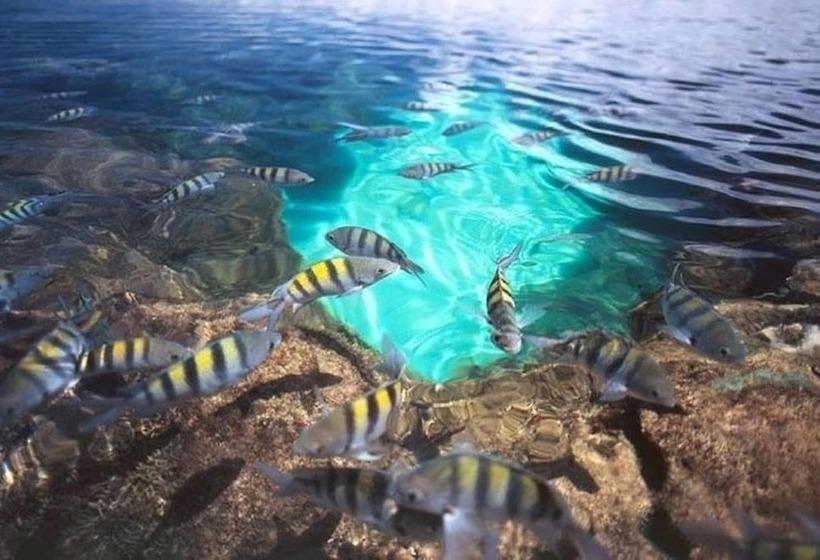 膳宿费 Pousada Mariluz