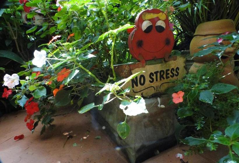 Pension Pousada Recanto Dos Passáros