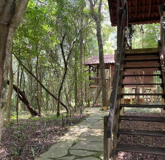 ペンション Pousada árvore Centenária