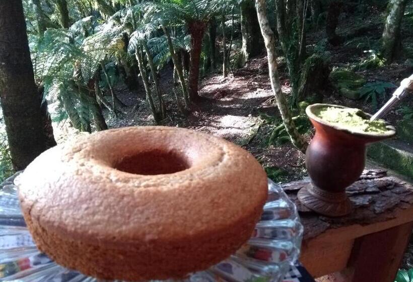 膳宿费 Recanto Da Mata Pousada