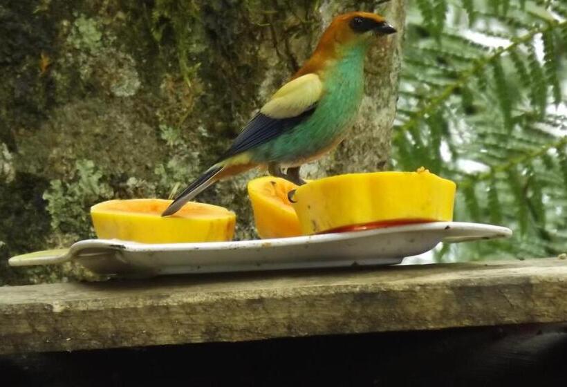 膳宿费 Recanto Da Mata Pousada