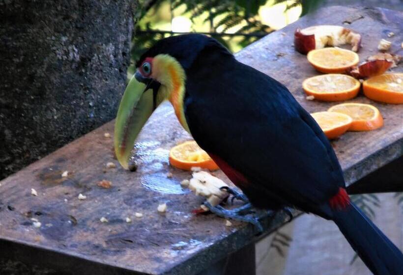 膳宿费 Recanto Da Mata Pousada