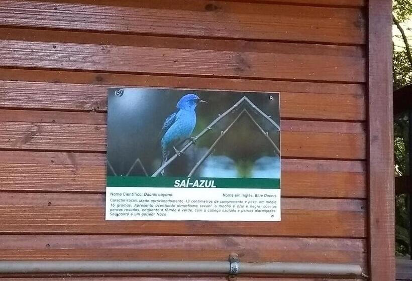 膳宿费 Recanto Da Mata Pousada