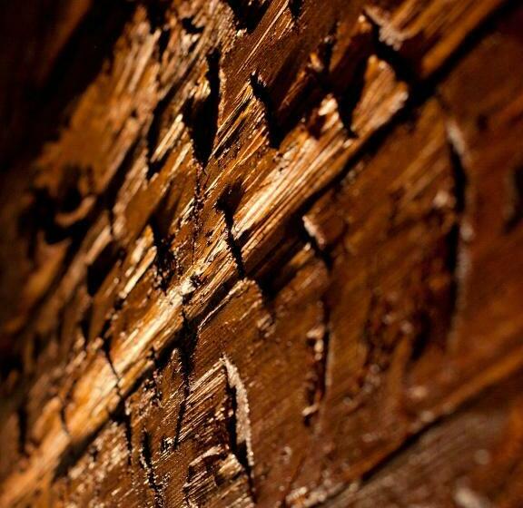 ペンション Staroměstský Penzion