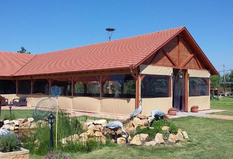 פנסיון Sóvirág Vendégház