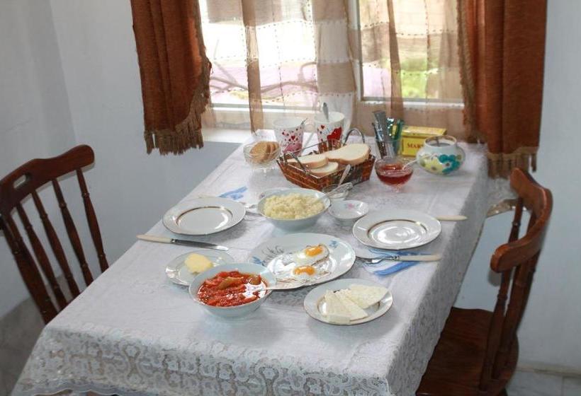 پانسیون Tlt Guest House