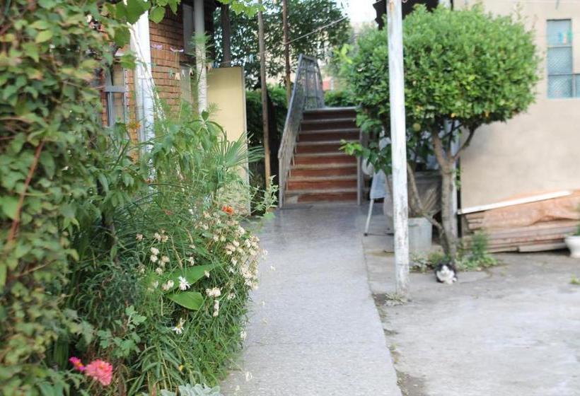 پانسیون Tlt Guest House