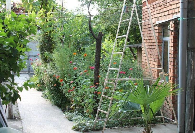 پانسیون Tlt Guest House