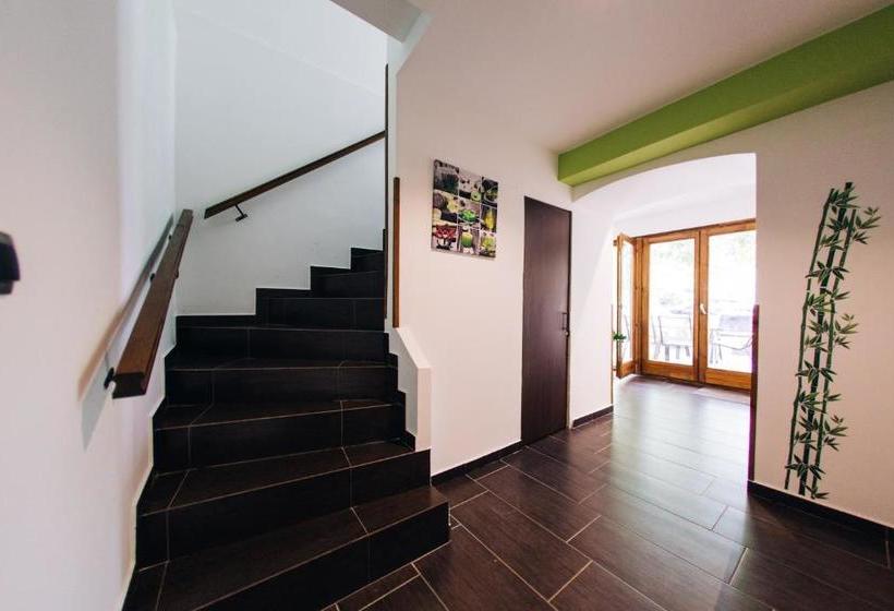 Vén Diófa De Lux Panzió