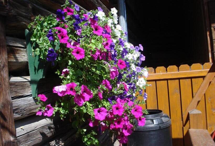 Pension Greimelbacherhof