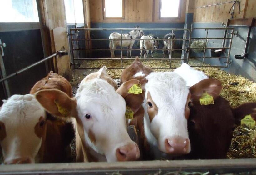 Pension Greimelbacherhof