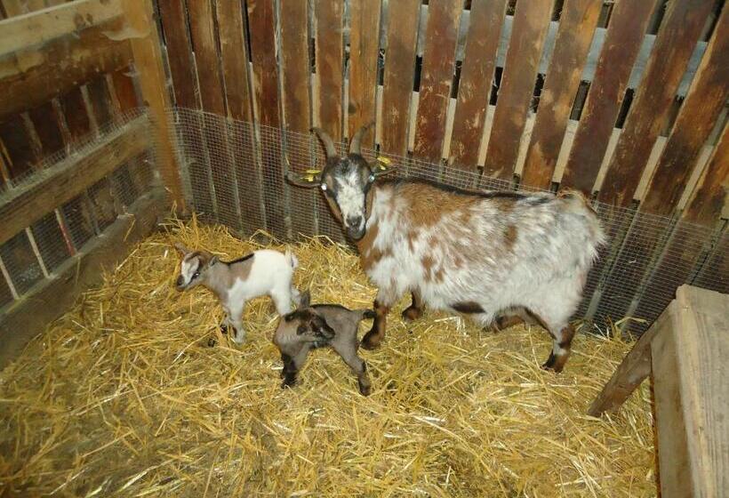 Pension Greimelbacherhof