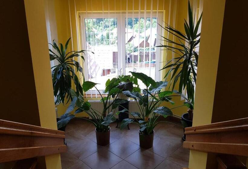 Raza Soarelui Pension