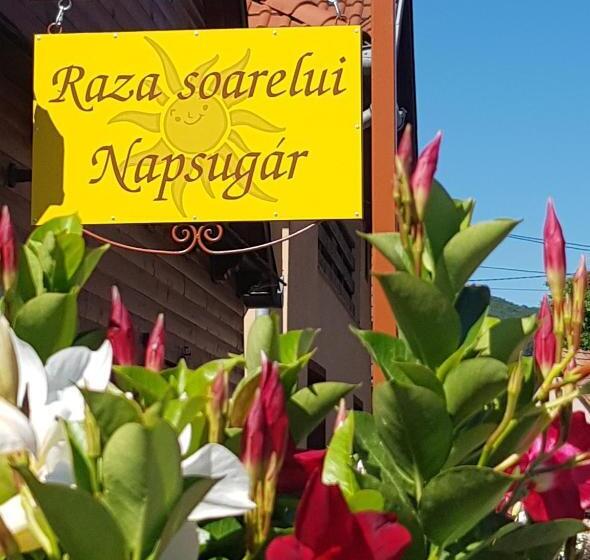 Raza Soarelui Pension