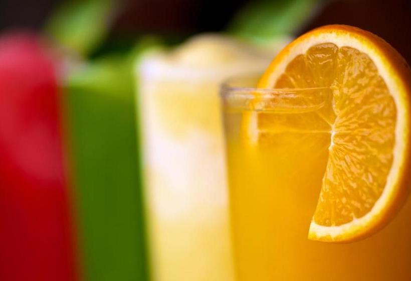 استراحتگاه Qi