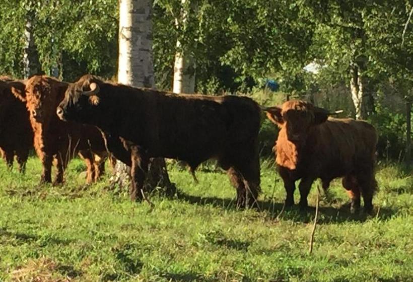 Stornäsets Pensionat Och Vandrarhem