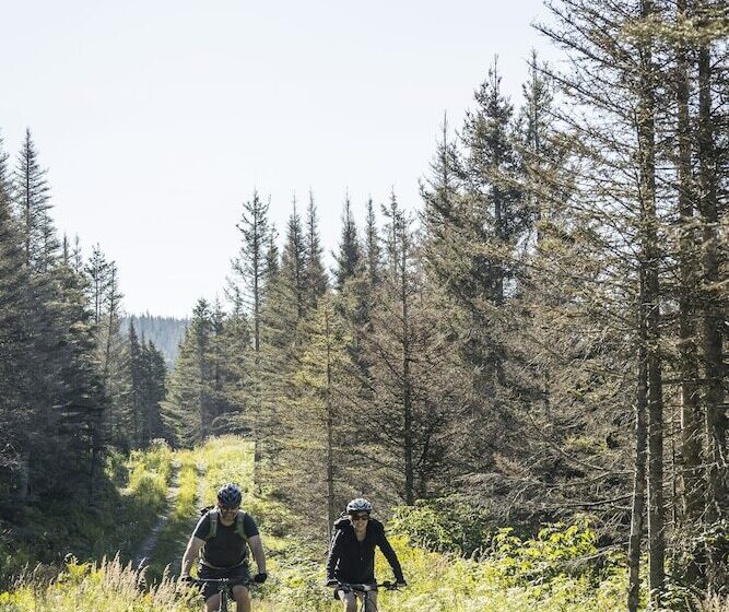 ユースホステル Auberge De Montagne Des Chic Chocs Mountain Lodge   Sepaq