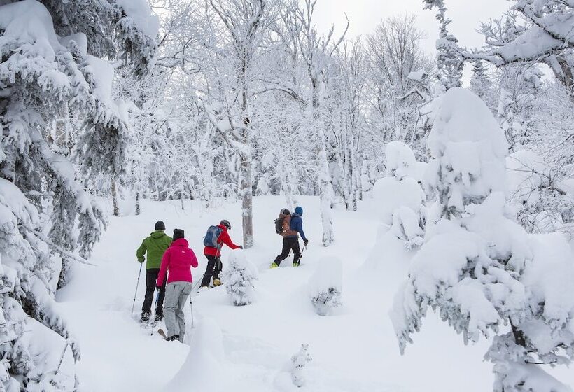 ユースホステル Auberge De Montagne Des Chic Chocs Mountain Lodge   Sepaq