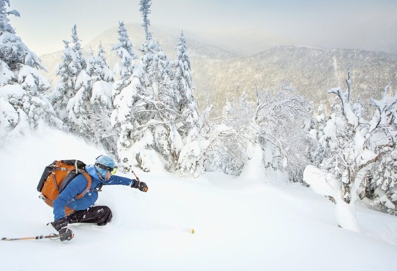 ユースホステル Auberge De Montagne Des Chic Chocs Mountain Lodge   Sepaq