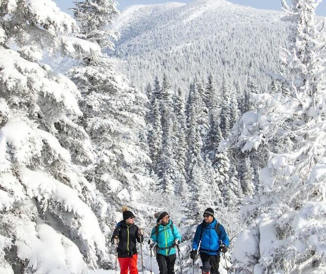 ユースホステル Auberge De Montagne Des Chic Chocs Mountain Lodge   Sepaq