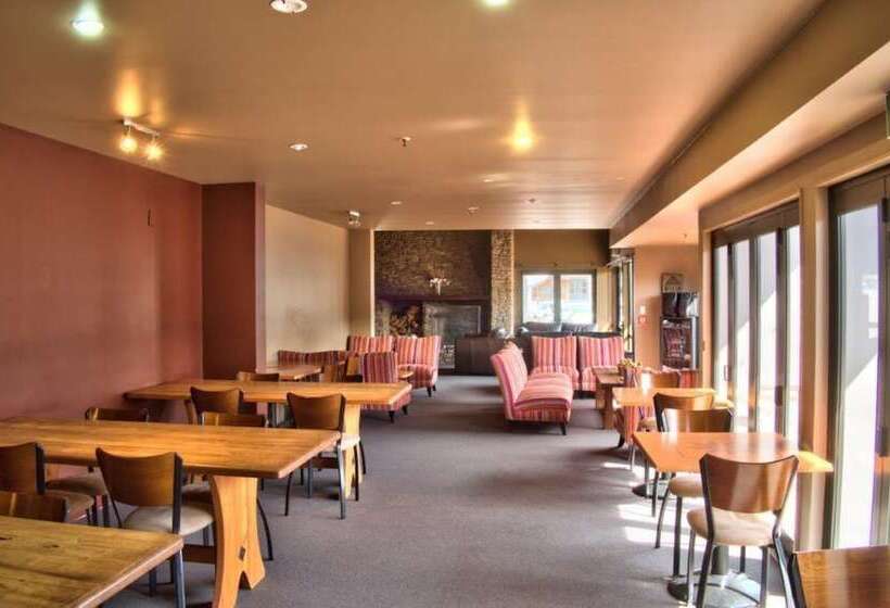 فندق صغير Drifters Inn