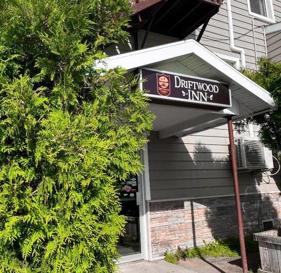 فندق صغير Driftwood Inn